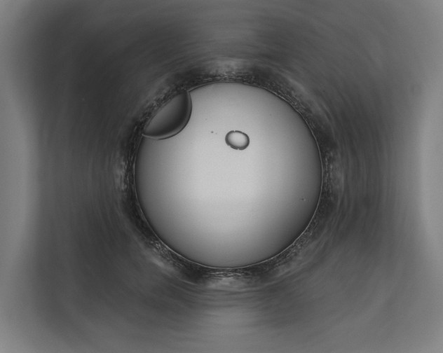 X0000112180750200908211459