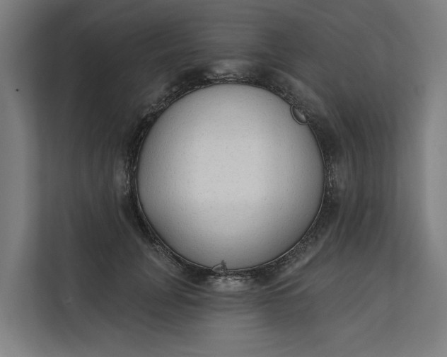 X0000112180751200908211500