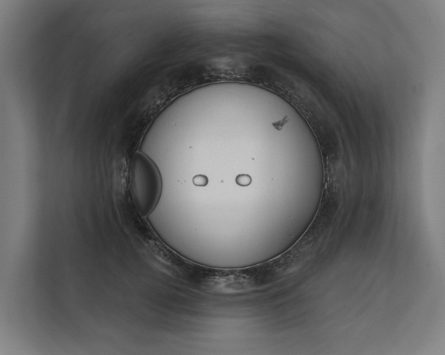 X0000112180752200908211500