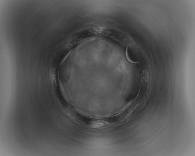 X0000112180754200908211500