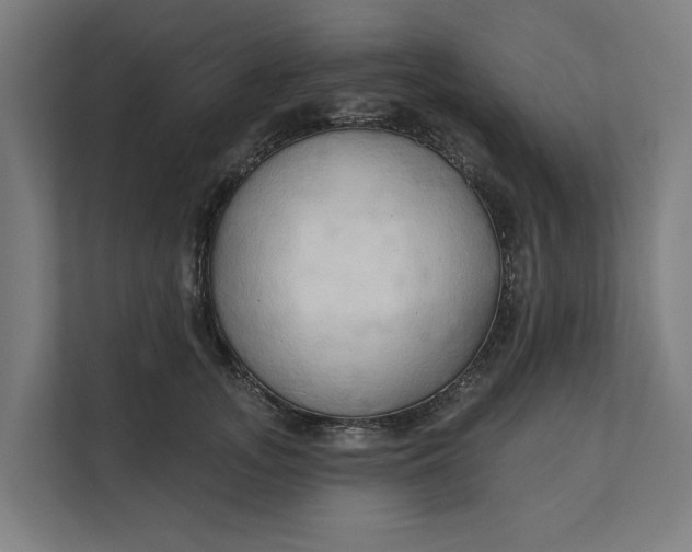 X0000112180755200908211500