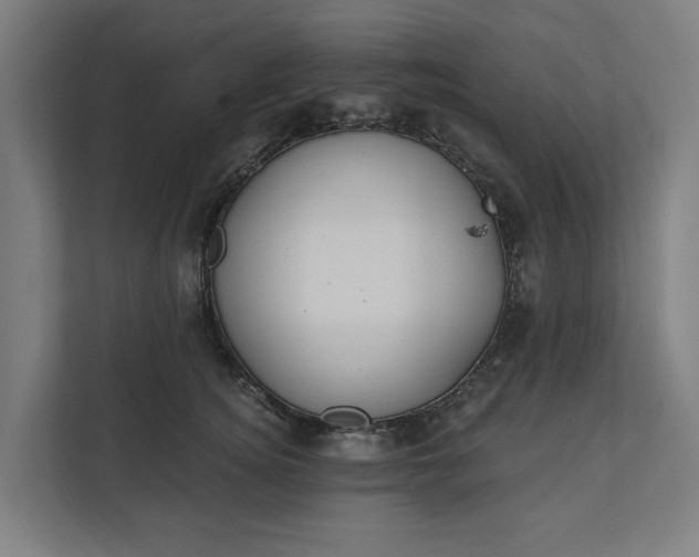 X0000112180756200908211500