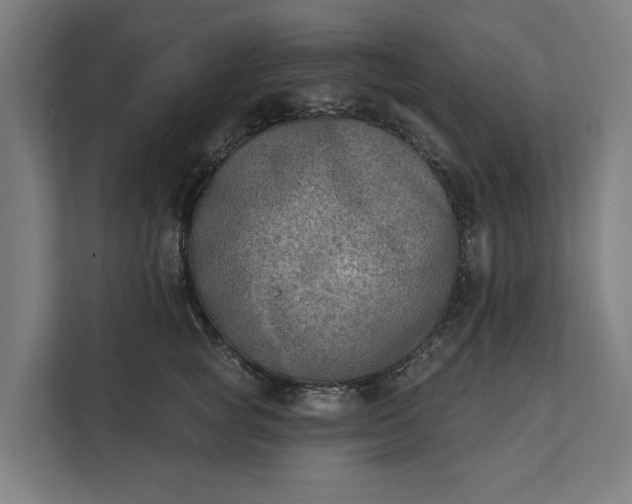 X0000112180757200908211500