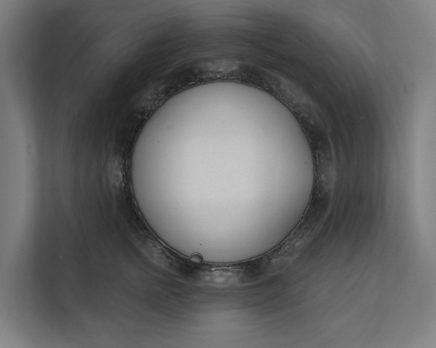 X0000112180758200908211500