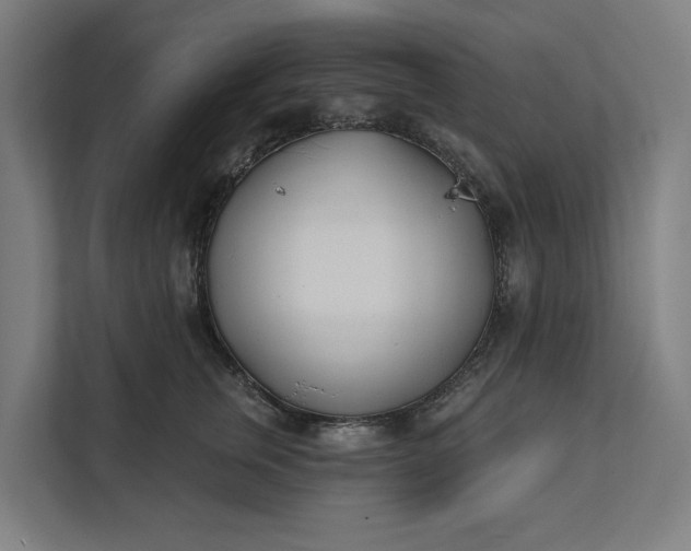 X0000112180759200908211500