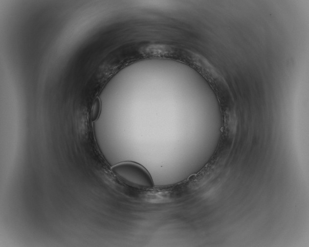 X0000112180760200908211500