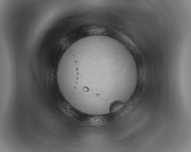 X0000112180761200908211500