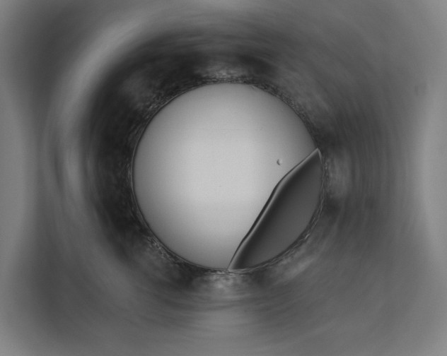 X0000112180762200908211500