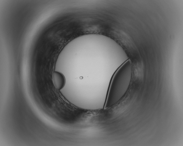 X0000112180764200908211500