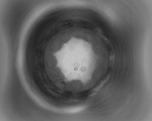 X0000112180765200908211500