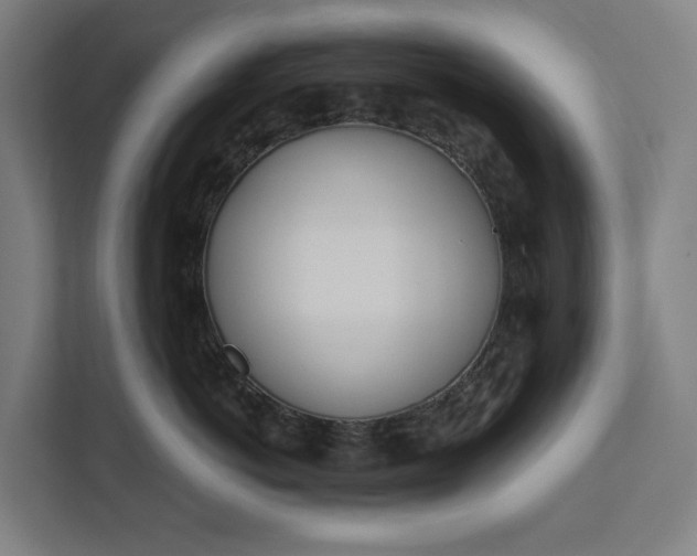 X0000112180766200908211500