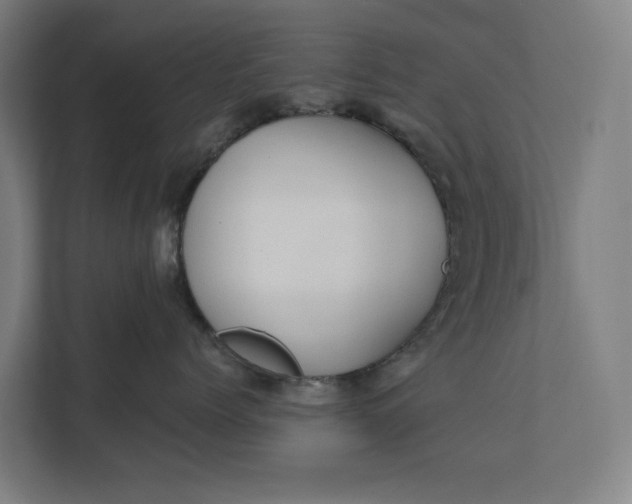 X0000112180768200908211500