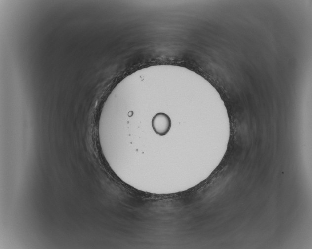 X0000112180769200908211459