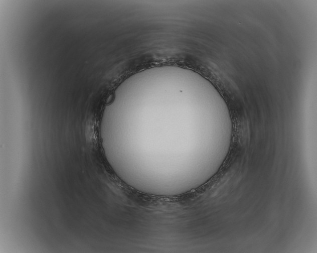 X0000112180770200908211459