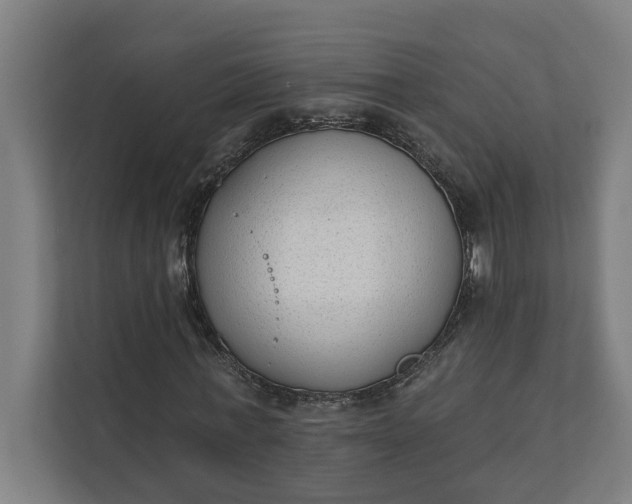 X0000112180771200908211459