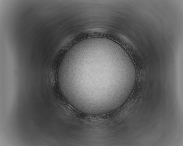 X0000112180774200908211459