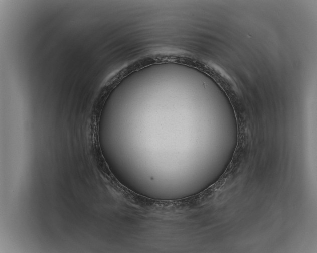 X0000112180775200908211459