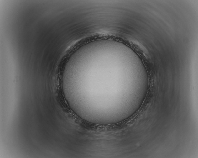 X0000112180776200908211459