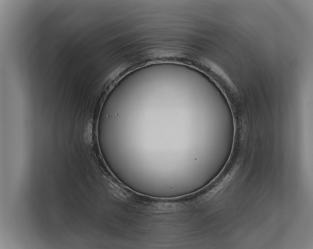 X0000112180777200908211459