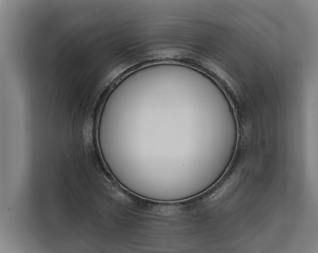 X0000112180778200908211459