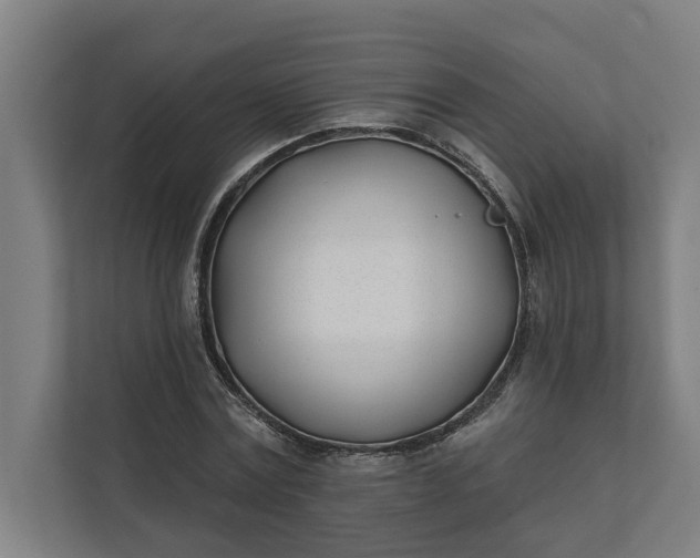 X0000112180779200908211459