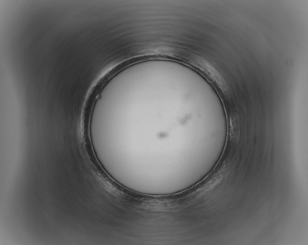 X0000112180780200908211459