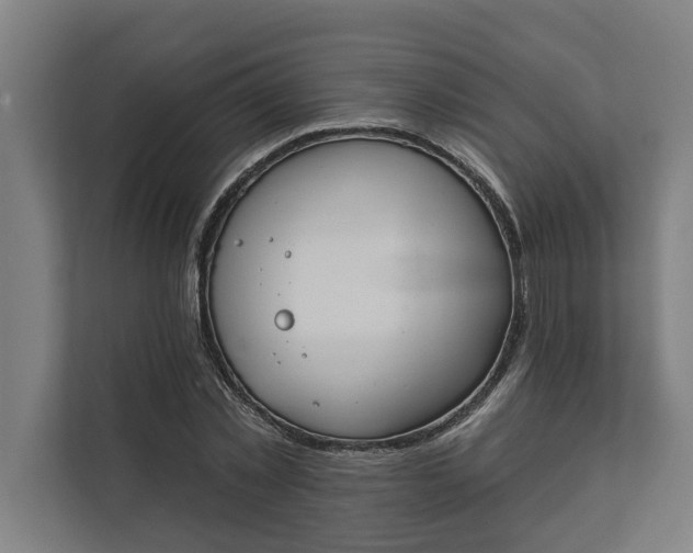 X0000112180781200908211459