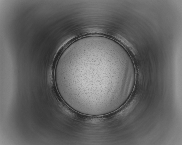 X0000112180782200908211459