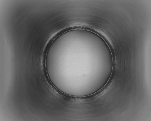 X0000112180783200908211459