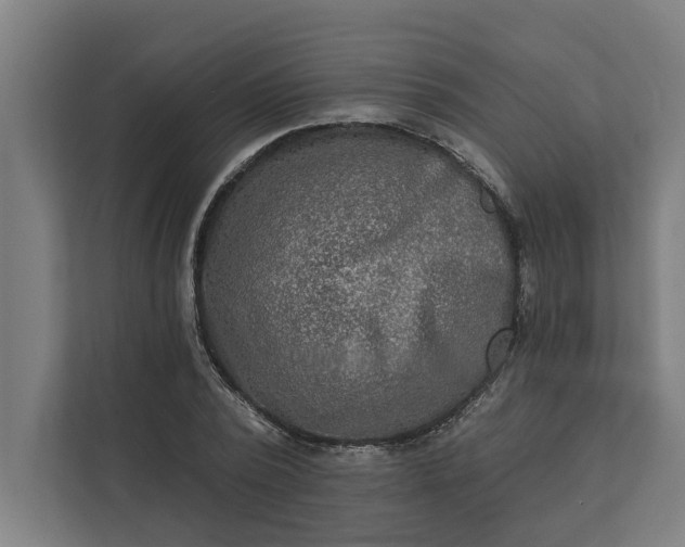 X0000112180784200908211459