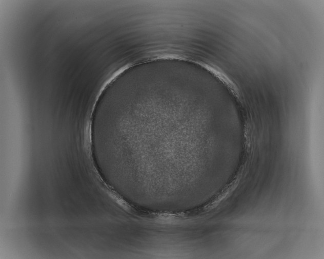 X0000112180790200908211459