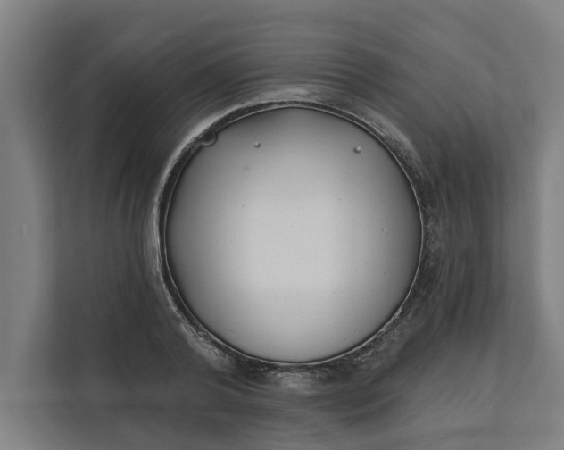 X0000112180792200908211459