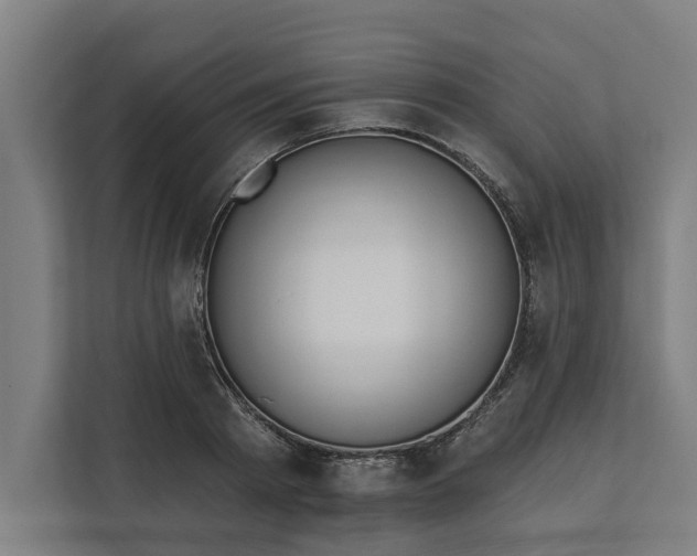 X0000112180793200908211459