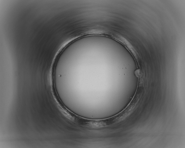 X0000112180795200908211459