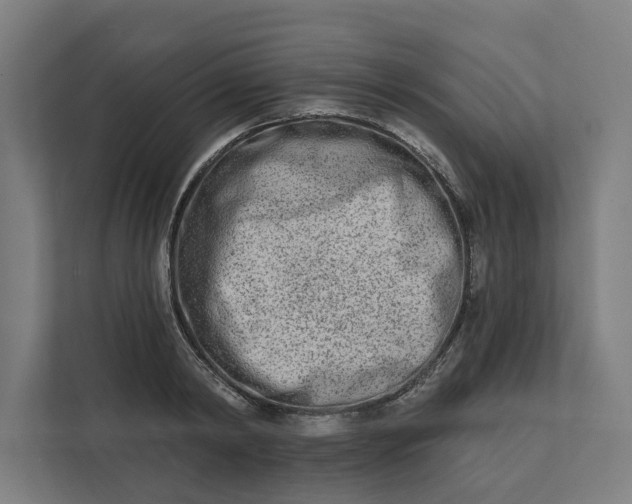 X0000112180798200908211459