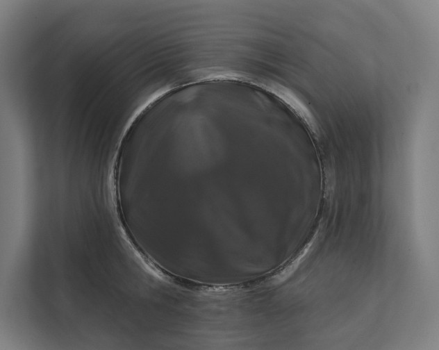 X0000112180806200908211459