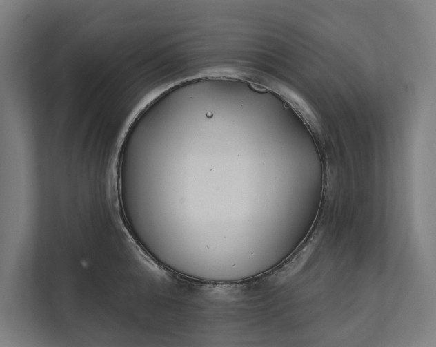 X0000112180808200908211459