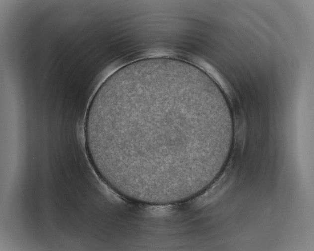 X0000112180810200908211459