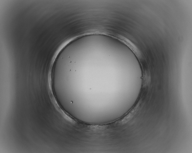 X0000112180812200908211459