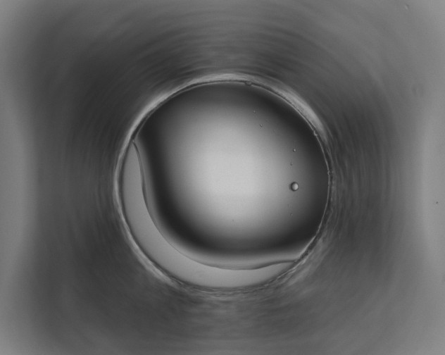 X0000112180813200908211459