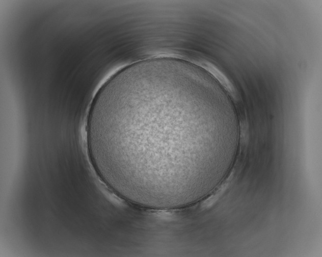 X0000112180814200908211459