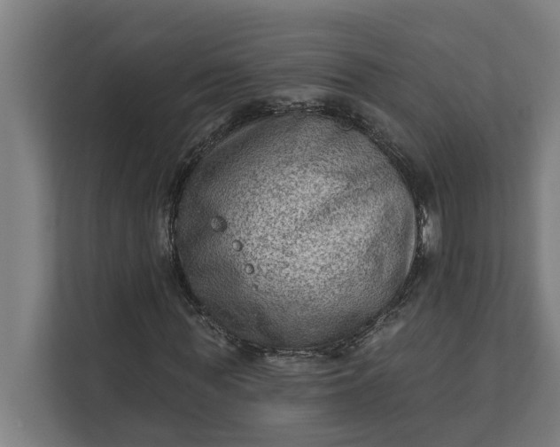 X0000112180819200908211458