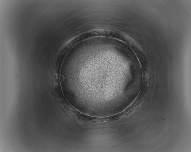 X0000112180822200908211458