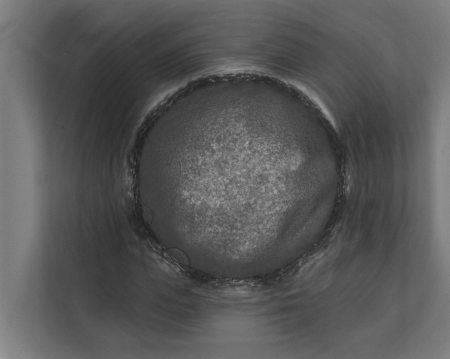 X0000112180823200908211458