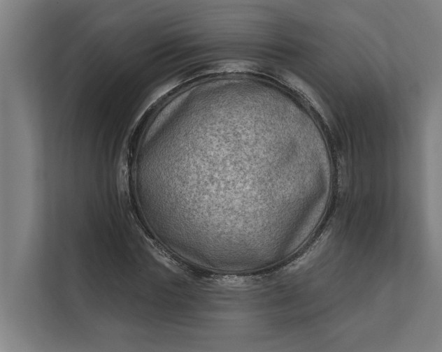 X0000112180827200908211458