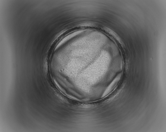 X0000112180829200908211458