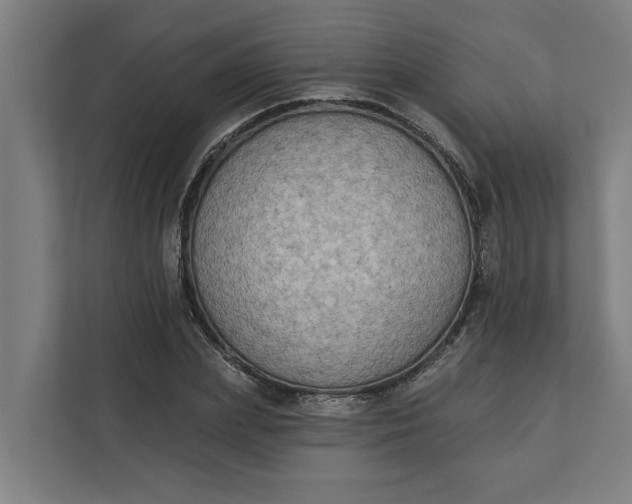 X0000112180831200908211458