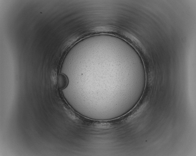 X0000112180833200908211458