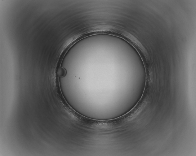 X0000112180834200908211458