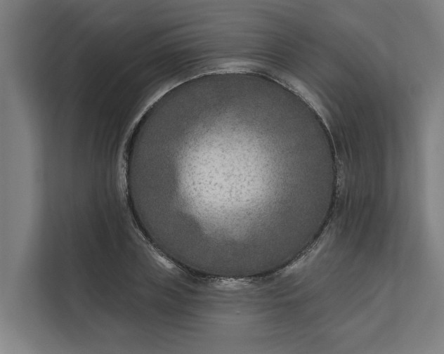 X0000112180835200908211458